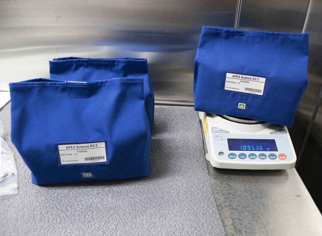 APEX-04, or Advanced Plant EXperiments-04, is being prepared in a cold room in the Kennedy Space Center Processing Facility for SpaceX-10. The three science kits are weighed prior to flight. Dr. Anna Lisa Paul of the University of Florida is the principal investigator for APEX-04. Apex-04 is an experiment involving Arabidopsis in petri plates inside the Veggie facility aboard the International Space Station. Since Arabidopsis is the genetic model of the plant world, it is a perfect sample organism for performing genetic studies in spaceflight. The experiment is the result of a grant from NASA’s Space Life and Physical Sciences division.