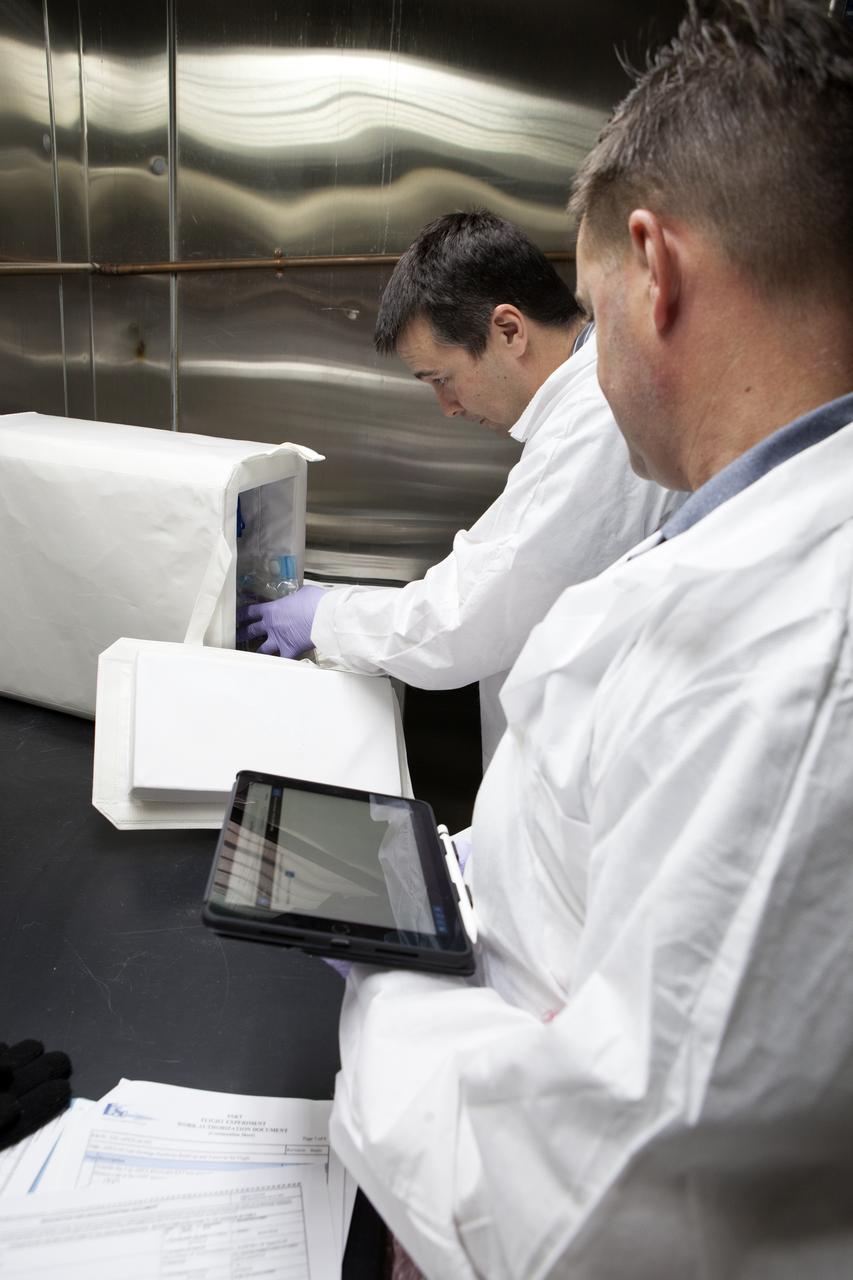 APEX-04, or Advanced Plant EXperiments-04, is being prepared in a cold room in the Kennedy Space Center Processing Facility for SpaceX-10. Eric Morris from the cold stowage group fits items into the Double Cold Bag (DCB) which is a non-powered container that keeps the APEX petri plates at +4 degrees Celsius during launch and ascent.. Dr. Anna Lisa Paul of the University of Florida is the principal investigator for APEX-04. Apex-04 is an experiment involving Arabidopsis in petri plates inside the Veggie facility aboard the International Space Station. Since Arabidopsis is the genetic model of the plant world, it is a perfect sample organism for performing genetic studies in spaceflight. The experiment is the result of a grant from NASA’s Space Life and Physical Sciences division.