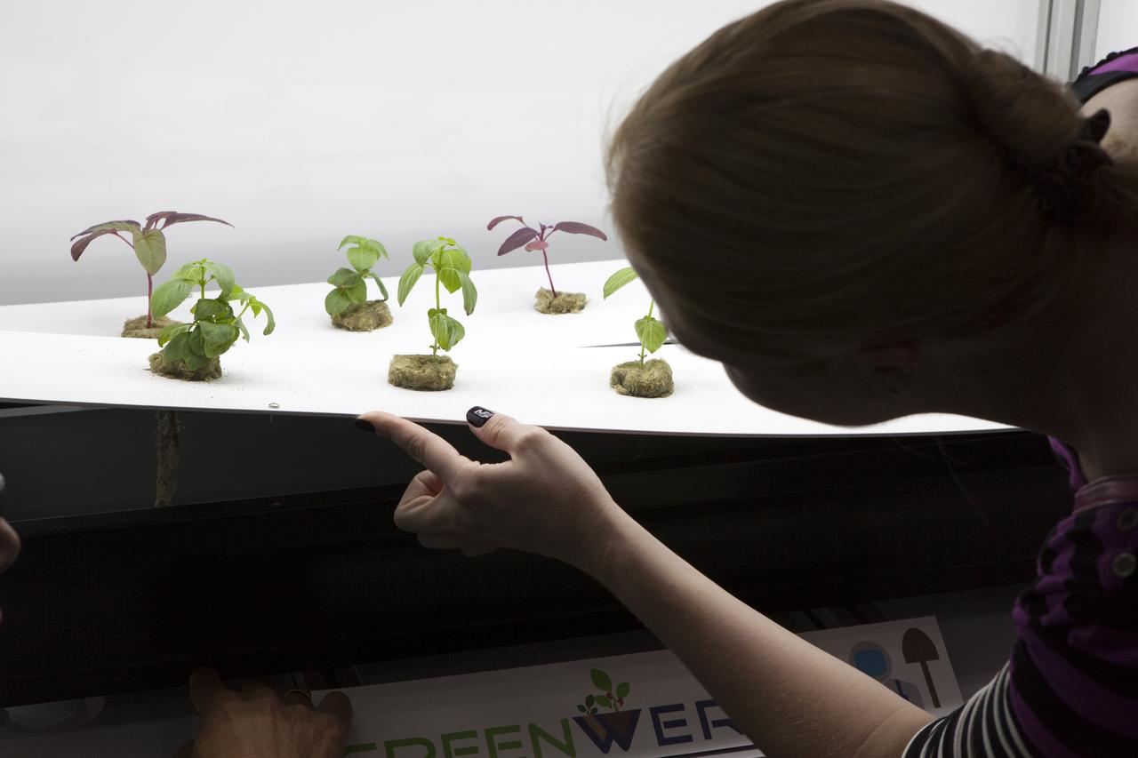 During a brainstorming session on innovative approaches to food production, an industry participant looks at plants growing inside a laboratory in the Space Station Processing Facility at NASA's Kennedy Space Center in Florida. The workshop was hosted by the Exploration Research and Technology Directorate. 