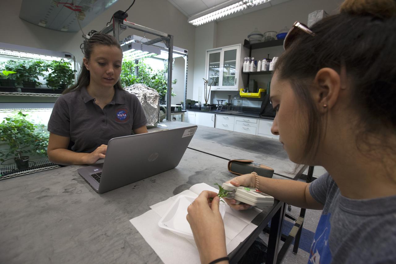 In the Space Life Sciences Laboratory at NASA's Kennedy Space Center in Florida, student interns such as Ayla Grandpre, left, and Payton Barnwell are joining agency scientists, contributing in the area of plant growth research for food production in space. Grandpre is pursuing a degree in computer science and chemistry at Rocky Mountain College in Billings, Montana. Barnwell is a mechanical engineering and nanotechnology major at Florida Polytechnic University. The agency attracts its future workforce through the NASA Internship, Fellowships and Scholarships, or NIFS, Program.