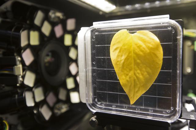 NASA image: Spectrum Project