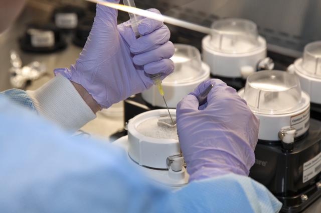 NASA image: Seed Placement into Veggie Pods
