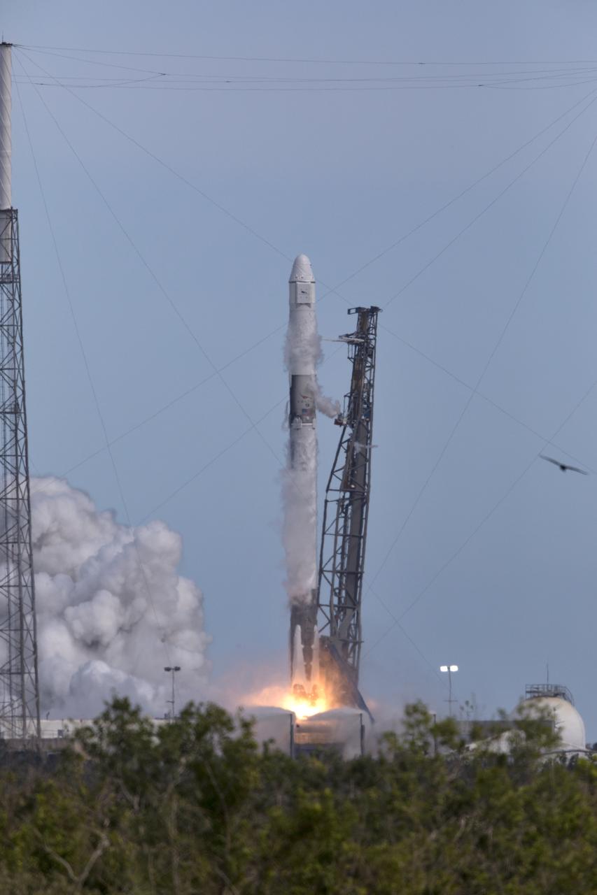 A SpaceX Falcon 9 rocket lifts off from Space Launch Complex 40 at Cape Canaveral Air Force Station in Florida at 4:30 p.m. EST, carrying the SpaceX Dragon resupply spacecraft. On its 14th commercial resupply services mission for NASA, Dragon will deliver supplies, equipment and new science experiments for technology research to the space station. 