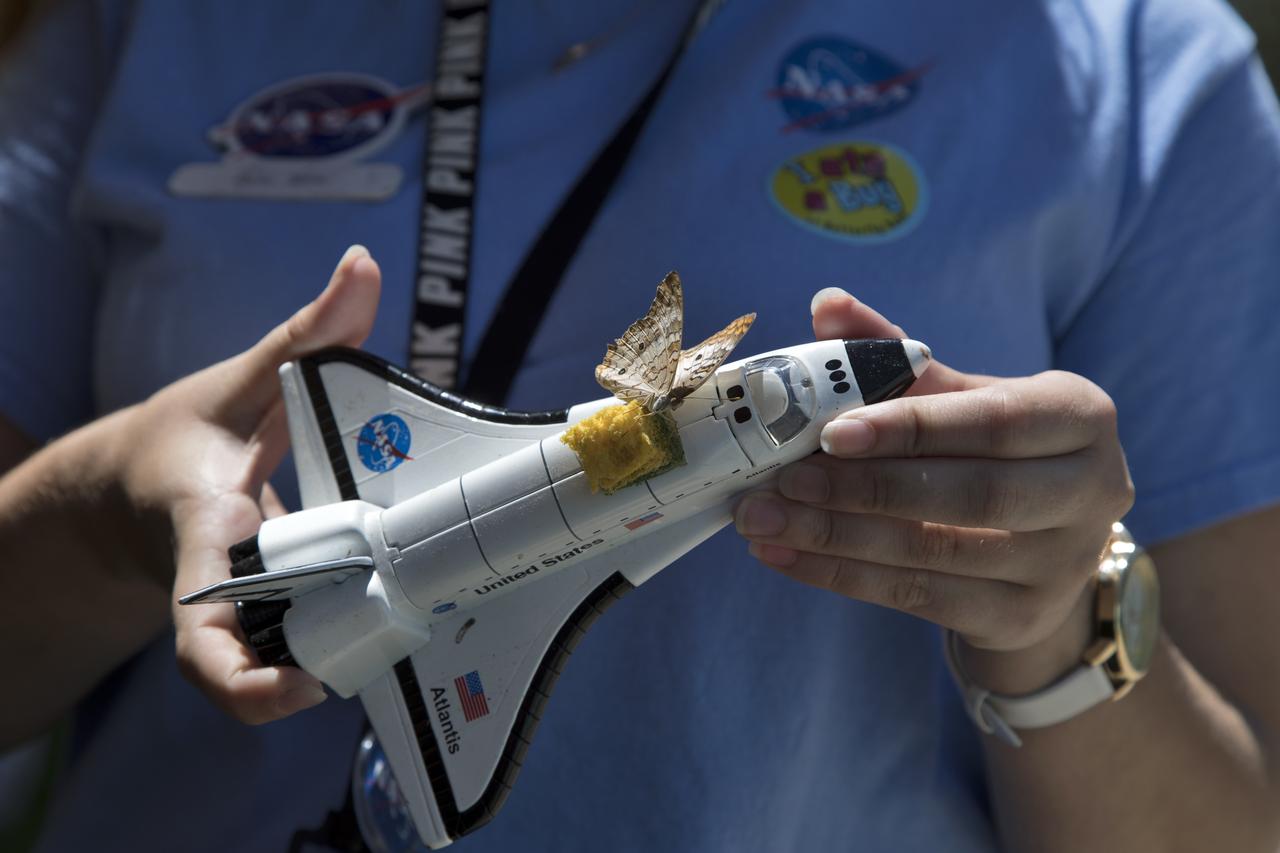 During the annual Earth Day celebration at the Kennedy Space Center Visitor Complex, guests have an opportunity to learn about the environment. The two-day event featured approximately 50 exhibitors offering information on a variety of topics, including electric vehicles, sustainable lighting, renewable energy, Florida-friendly landscaping tips, Florida’s biking trails and more.