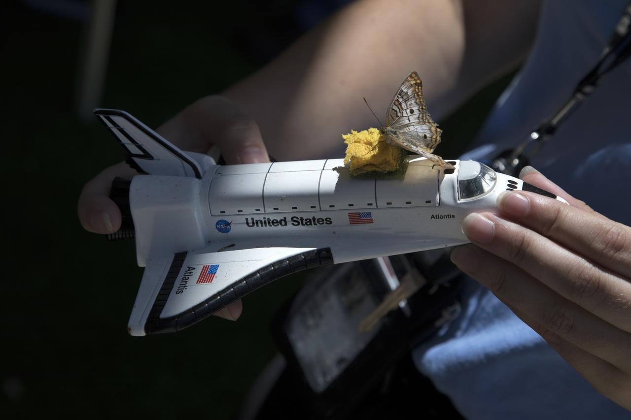 During the annual Earth Day celebration at the Kennedy Space Center Visitor Complex, guests have an opportunity to learn about the environment. The two-day event featured approximately 50 exhibitors offering information on a variety of topics, including electric vehicles, sustainable lighting, renewable energy, Florida-friendly landscaping tips, Florida’s biking trails and more.