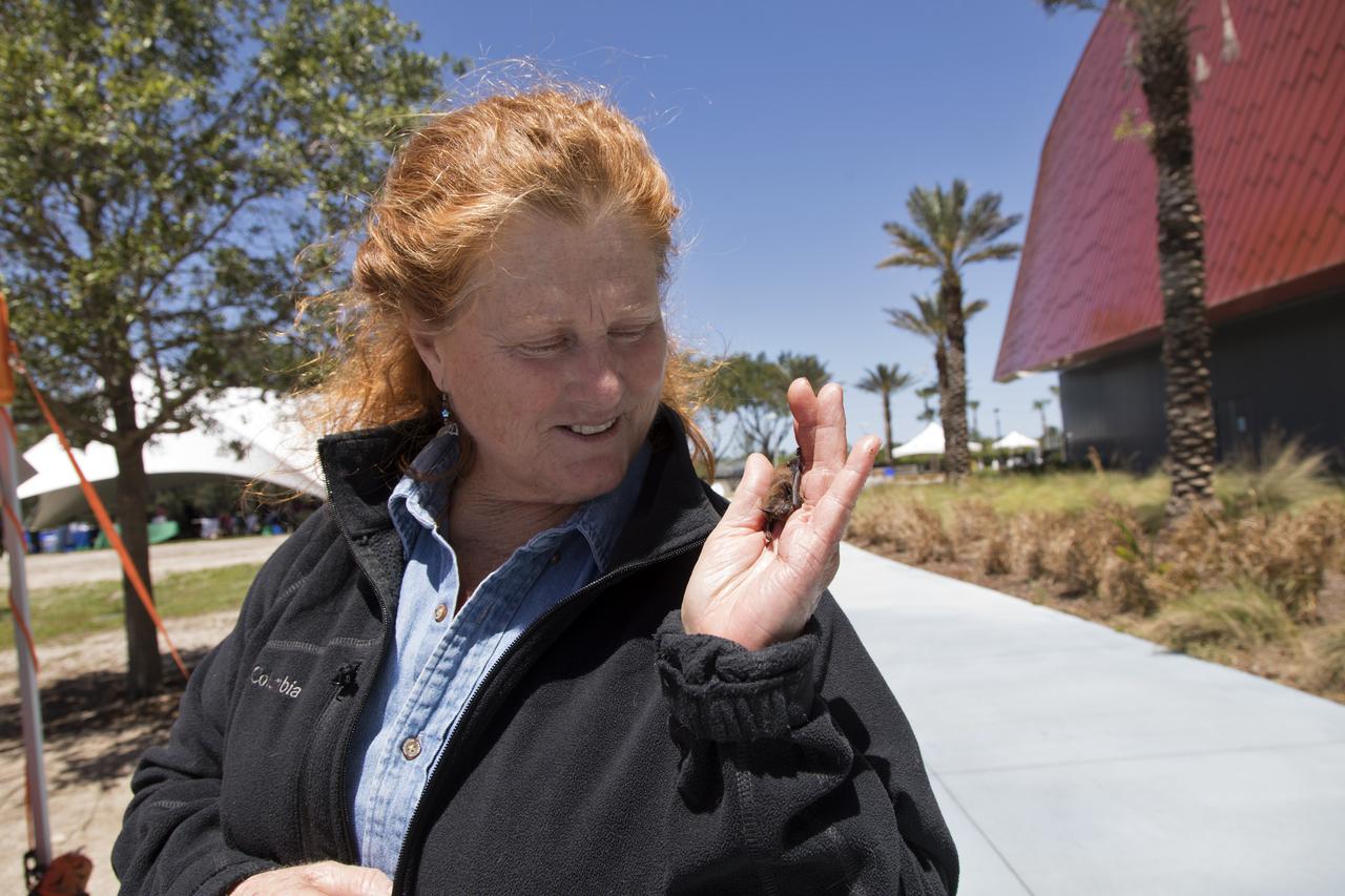 During the annual Earth Day celebration at the Kennedy Space Center Visitor Complex, Shari Blissett-Clark of the Florida Bat Conservancy displays one of the mammals. The event took place during the annual Earth Day celebration at the Kennedy Space Center Visitor Complex, guests have an opportunity to learn more about energy awareness, the environment and sustainability.