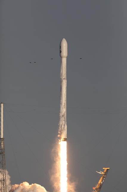 NASA image: SpaceX TESS Liftoff