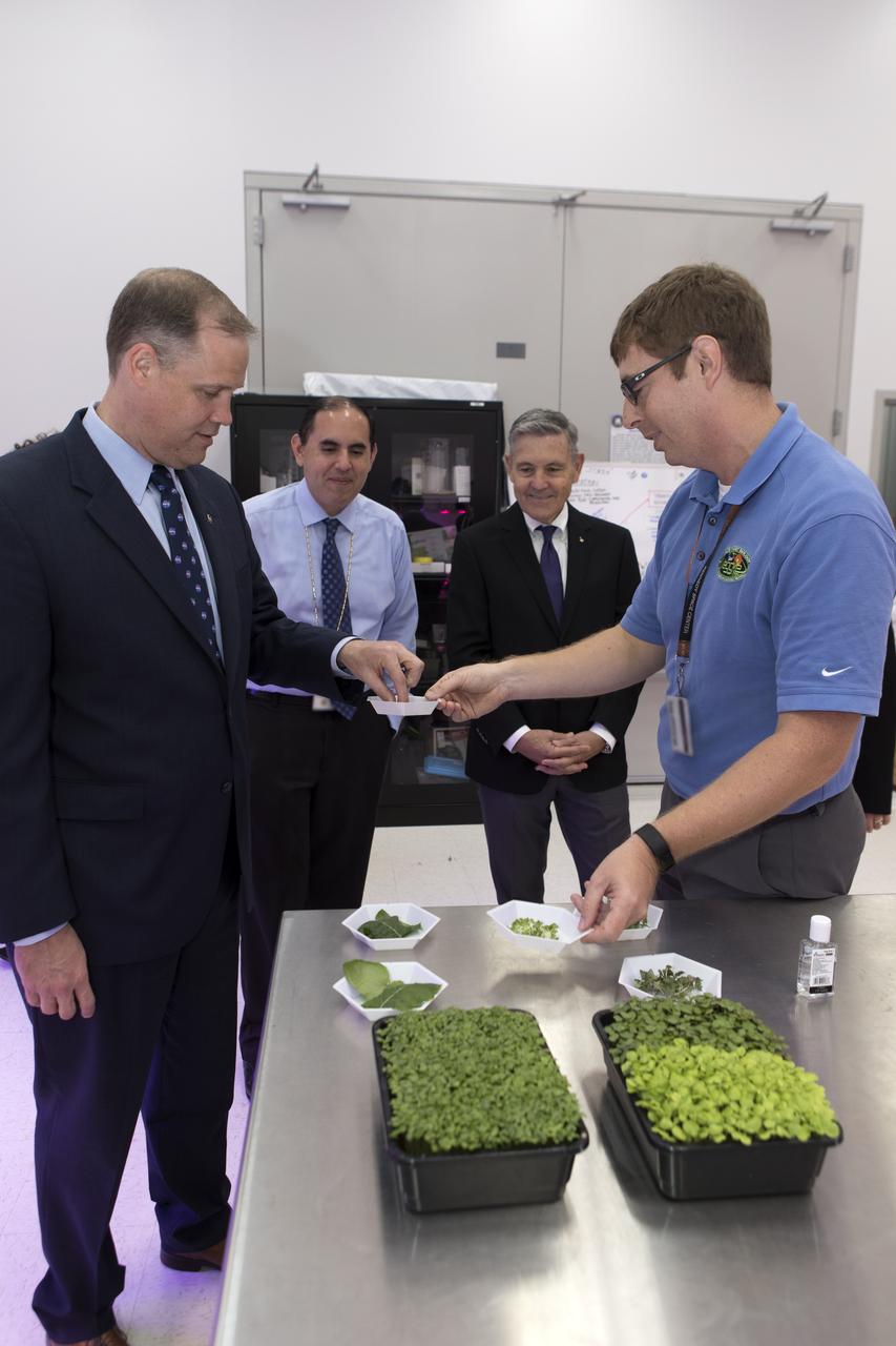 NASA Administrator Jim Bridenstine, far left, tours a plant research laboratory inside the Space Station Processing Facility (SSPF) at NASA's Kennedy Space Center in Florida, on Aug. 7, 2018. Bridenstine selects a microgreen to sample from Matt Romeyn, project scientist. Behind Bridenstine, from left, are Bryan Onate, Advanced Plant Habitat project manager, and Kennedy Space Center Director Bob Cabana. Bridenstine received updates on research and technology accomplishments during his visit to the SSPF.