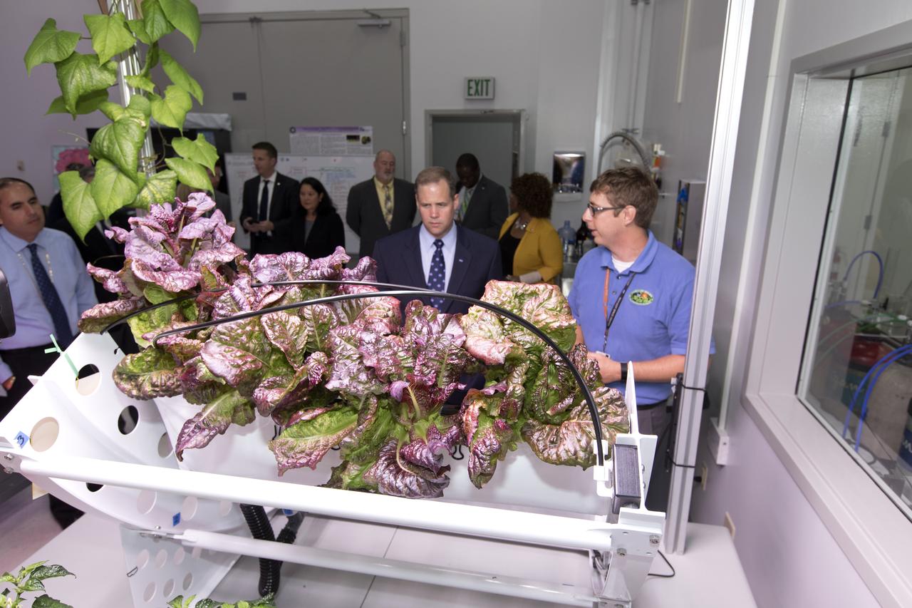 NASA Administrator Jim Bridenstine, center, tours a plant research laboratory inside the Space Station Processing Facility (SSPF) at NASA's Kennedy Space Center in Florida, on Aug. 7, 2018. To the right of Bridenstine is Matt Romeyn, project scientist. Behind him, second from left is Josie Burnett, director of Exploration Research and Technology. To Burnett's right is Ronnie Lawson, deputy director of Exploration Research and Technology. Behind Bridenstine is Barbara Brown, chief technologist. Bridenstine received updates on research and technology accomplishments during his visit to the SSPF.