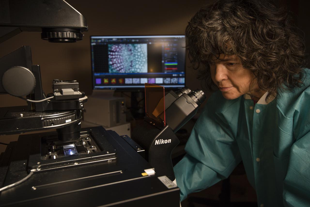 Anna Maria Ruby, project scientist for the ISS Research Office at NASA’s Kennedy Space Center in Florida, views samples on a microscope in the Microgravity Simulation Support Facility on Dec. 20, 2018.
