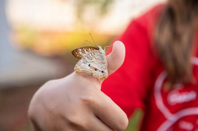 NASA image: Earth Day Blog Post