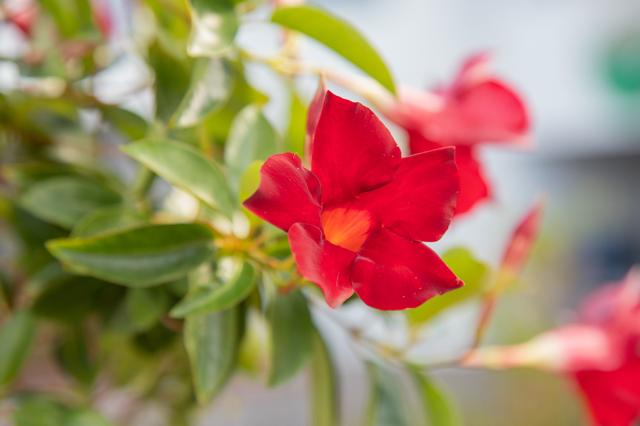 NASA image: Earth Day Blog Post