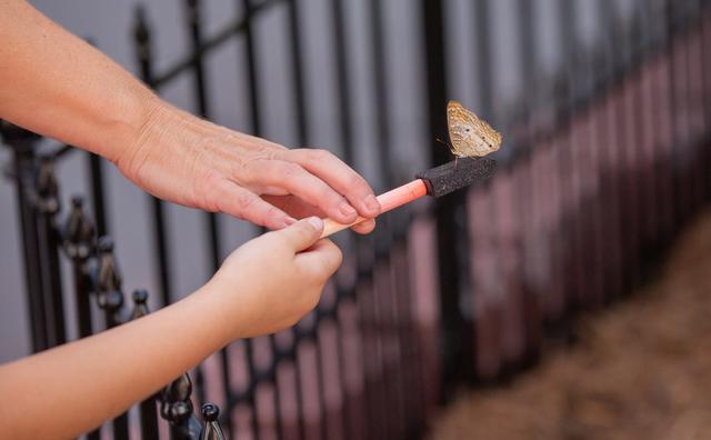 NASA image: Earth Day Blog Post