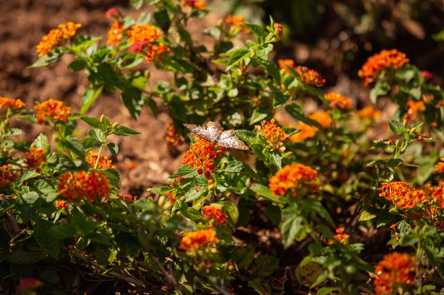 NASA image: Earth Day Blog Post