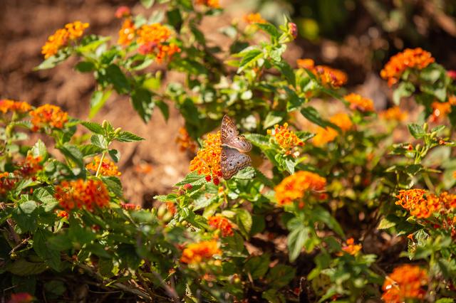 NASA image: Earth Day Blog Post