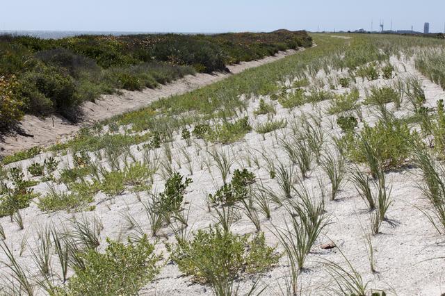 NASA image: Shoreline Restoration Project