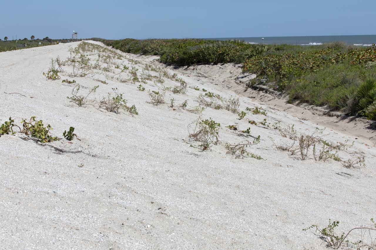 Restoration efforts are underway to the dunes at the north beaches at NASA’s Kennedy Space Center in Florida in this view on April 15, 2019. About 450,000 cubic yards of beach-quality sand, tested for compatibility, was transported to the space center’s beaches. After the dune was built up, native coastal vegetation was replanted, helping to stabilize the dune and offer a habitat for Kennedy’s coastal wildlife. Dunes are affected by beach erosion and storm surge from tropical events, such as hurricanes. Restoration began in spring 2018 and was targeted to be completed by April 2019.