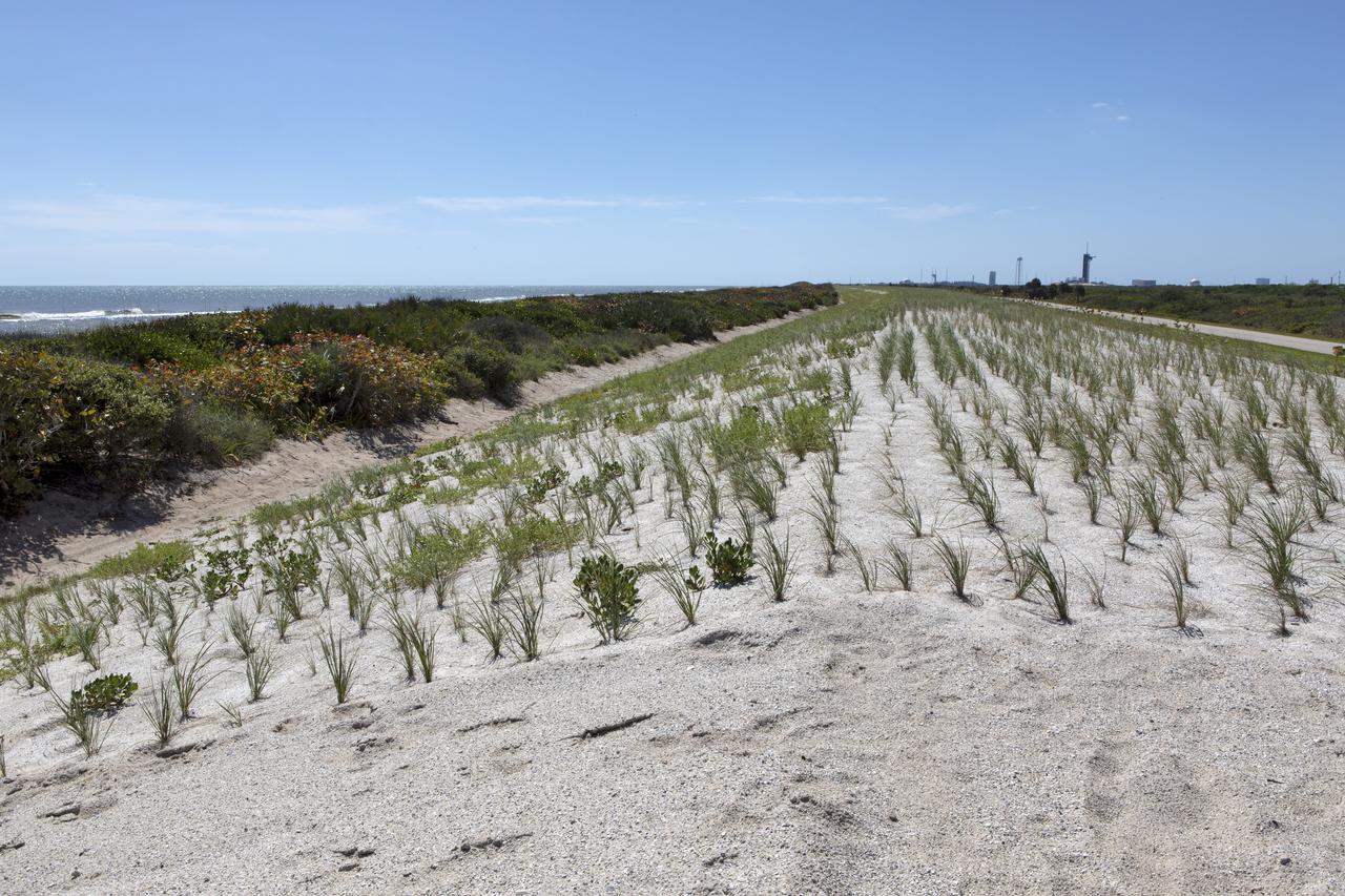 Restoration efforts are underway to the dunes at the north beaches at NASA’s Kennedy Space Center in Florida in this view on April 15, 2019. About 450,000 cubic yards of beach-quality sand, tested for compatibility, was transported to the space center’s beaches. After the dune was built up, native coastal vegetation was replanted, helping to stabilize the dune and offer a habitat for Kennedy’s coastal wildlife. Dunes are affected by beach erosion and storm surge from tropical events, such as hurricanes. Restoration began in spring 2018 and was targeted to be completed by April 2019.