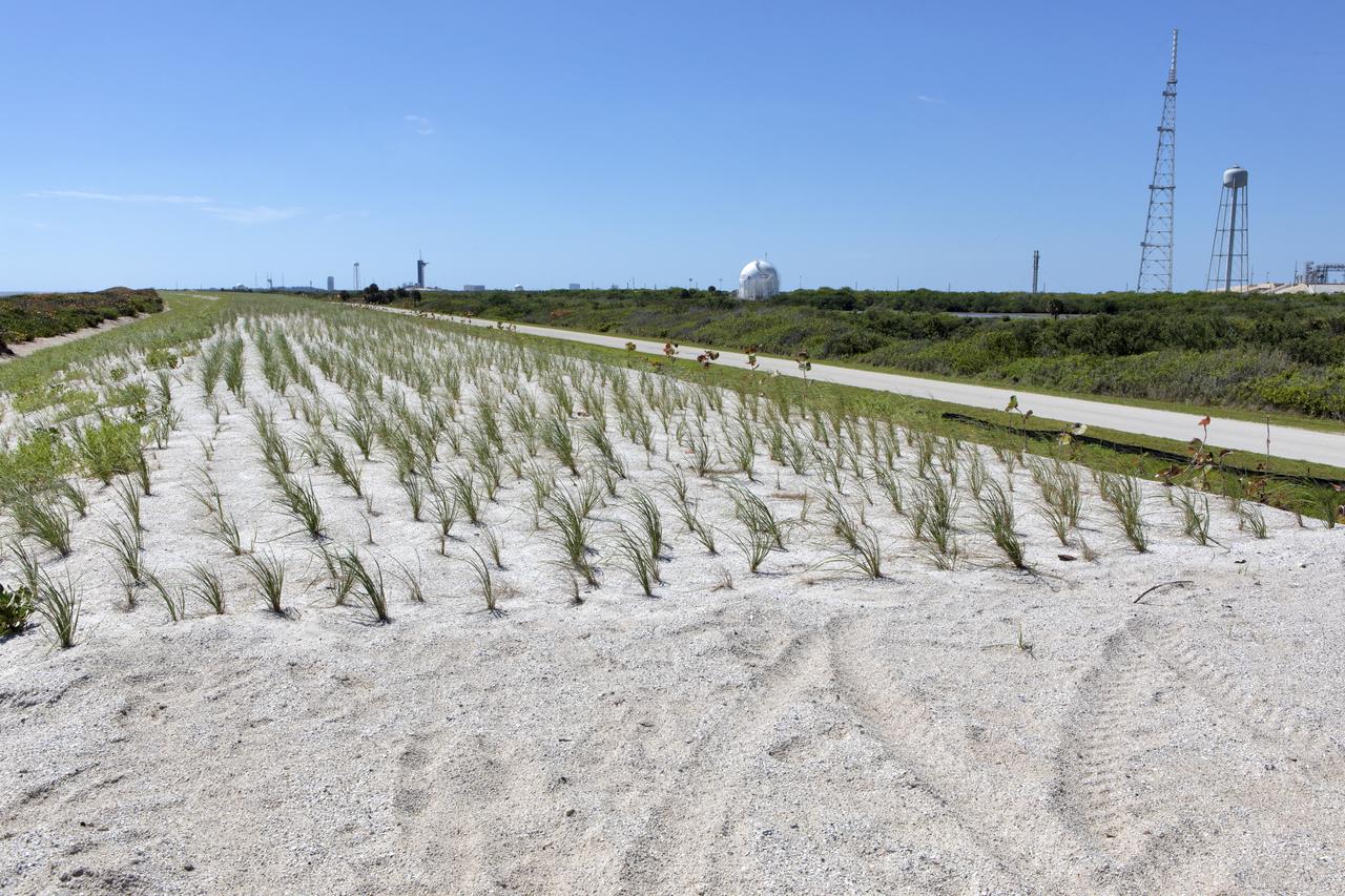 Restoration efforts are underway to the dunes at the north beaches at NASA’s Kennedy Space Center in Florida in this view on April 15, 2019. About 450,000 cubic yards of beach-quality sand, tested for compatibility, was transported to the space center’s beaches. After the dune was built up, native coastal vegetation was replanted, helping to stabilize the dune and offer a habitat for Kennedy’s coastal wildlife. Dunes are affected by beach erosion and storm surge from tropical events, such as hurricanes. Restoration began in spring 2018 and was targeted to be completed by April 2019. 