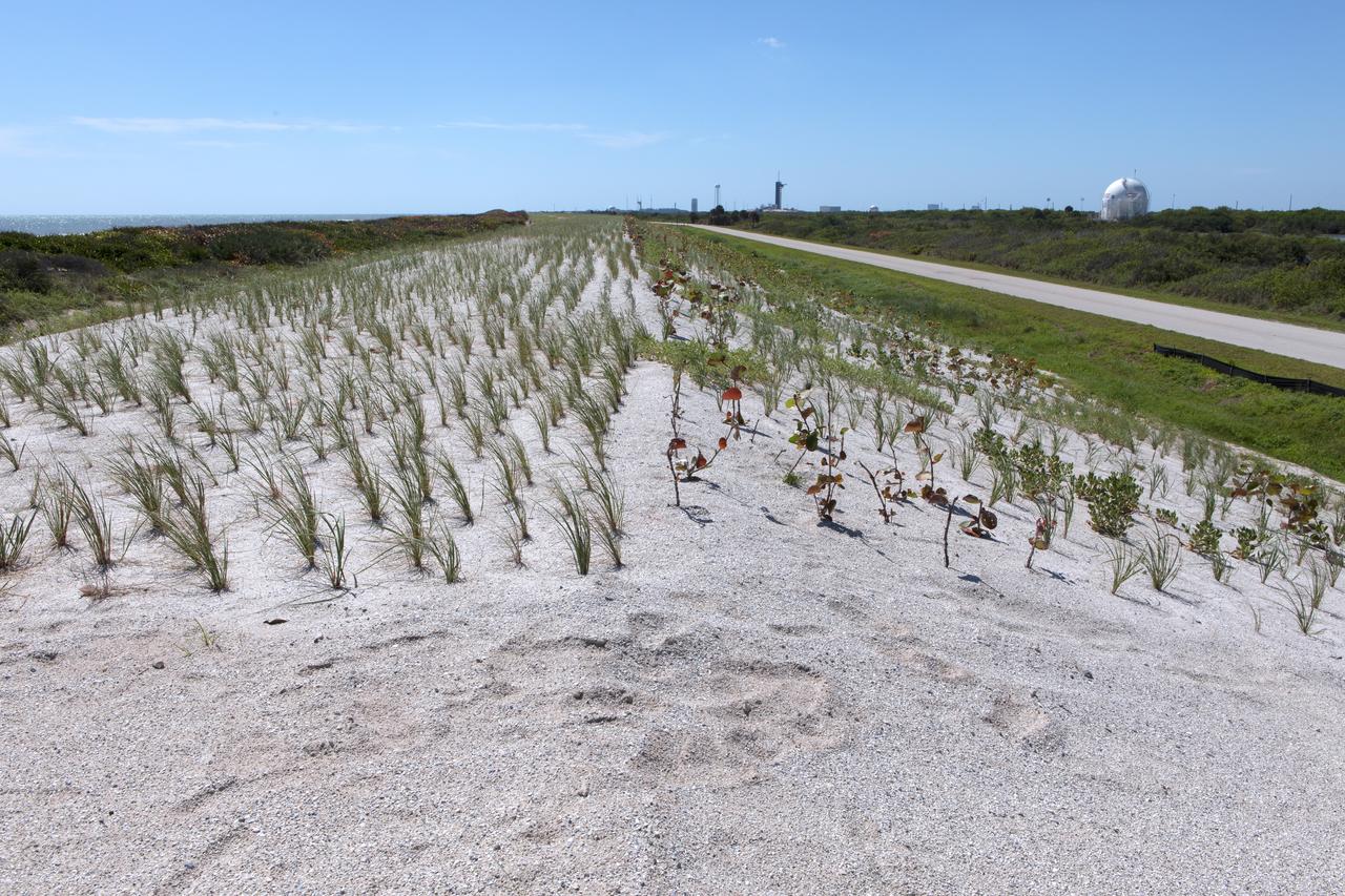 Restoration efforts are underway to the dunes at the north beaches at NASA’s Kennedy Space Center in Florida in this view on April 15, 2019. About 450,000 cubic yards of beach-quality sand, tested for compatibility, was transported to the space center’s beaches. After the dune was built up, native coastal vegetation was replanted, helping to stabilize the dune and offer a habitat for Kennedy’s coastal wildlife. Dunes are affected by beach erosion and storm surge from tropical events, such as hurricanes. Restoration began in spring 2018 and was targeted to be completed by April 2019.