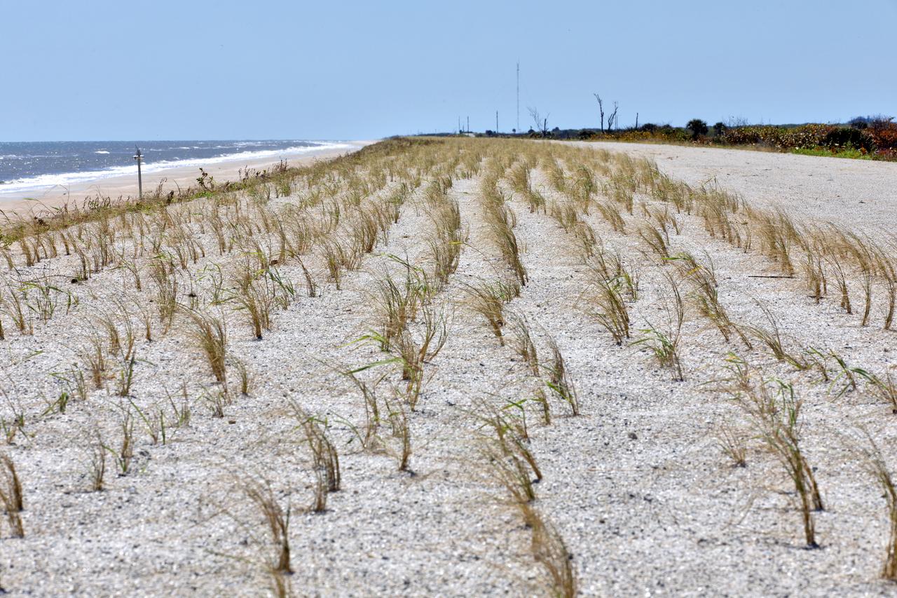 Restoration efforts are underway to the dunes at the north beaches at NASA’s Kennedy Space Center in Florida in this view on April 15, 2019. About 450,000 cubic yards of beach-quality sand, tested for compatibility, was transported to the space center’s beaches. After the dune was built up, native coastal vegetation was replanted, helping to stabilize the dune and offer a habitat for Kennedy’s coast wildlife. Dunes are affected by beach erosion and storm surge from tropical events, such as hurricanes. Restoration began in spring 2018 and was targeted to be completed by April 2019.