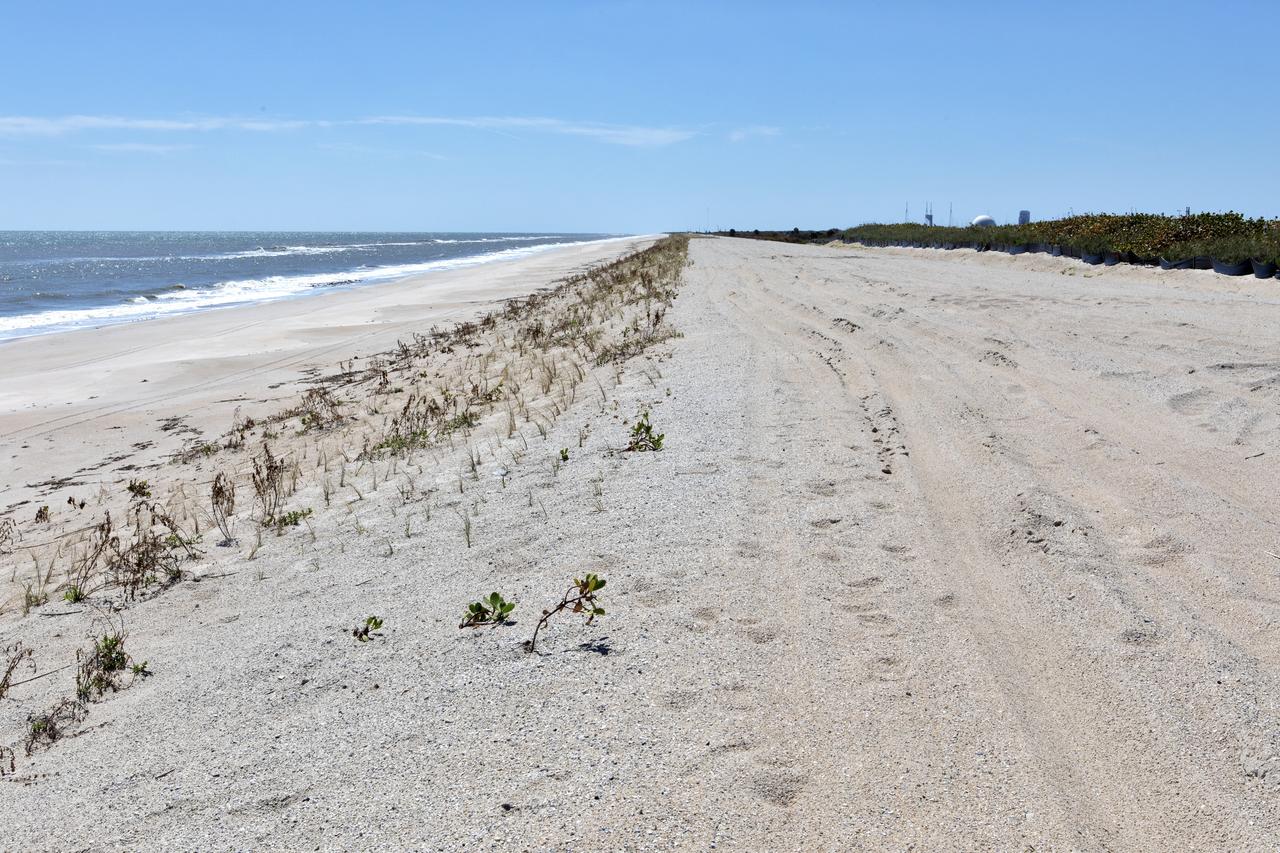 Restoration efforts are underway to the dunes at the north beaches at NASA’s Kennedy Space Center in Florida in this view on April 15, 2019. About 450,000 cubic yards of beach-quality sand, tested for compatibility, was transported to the space center’s beaches. After the dune was built up, native coastal vegetation was replanted, helping to stabilize the dune and offer a habitat for Kennedy’s coast wildlife. Dunes are affected by beach erosion and storm surge from tropical events, such as hurricanes. Restoration began in spring 2018 and was targeted to be completed by April 2019.