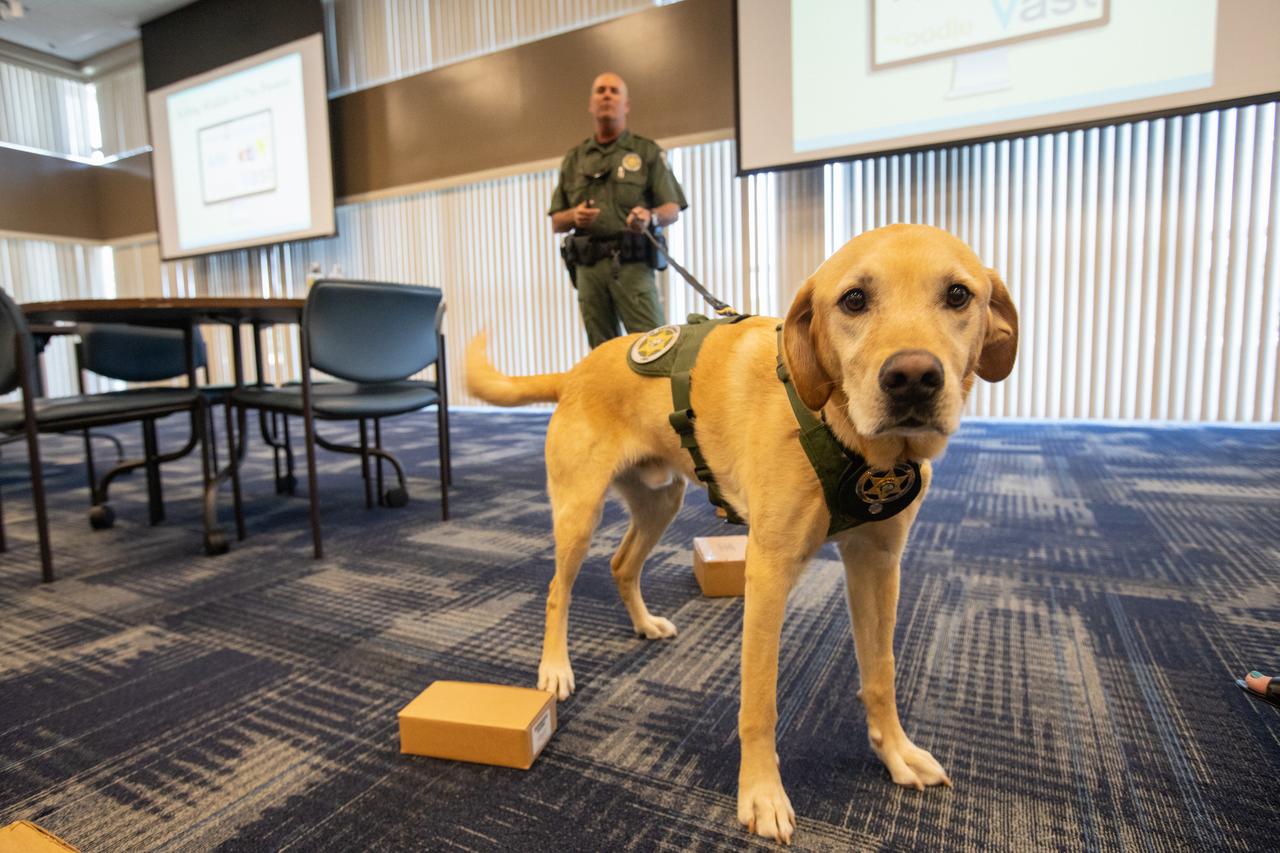 Fish and Wildlife Conservation Commission (FWC) Officer Jeff Sidor presents information on FWC’s Port K9 Program to Kennedy Space Center employees in the Space Station Processing Facility Conference Center on April 23, 2019. Officer Sidor brought a special K9, Harry, to demonstrate how FWC is using specially trained dogs in airports, seaports and mail facilities to detect illegal and invasive fish and wildlife species shipping into Florida. The demonstration involved Harry distinguishing which box, among many, contained a turtle shell. This lunch and learn was available for employees to attend as part of Kennedy’s Earth Day events. 