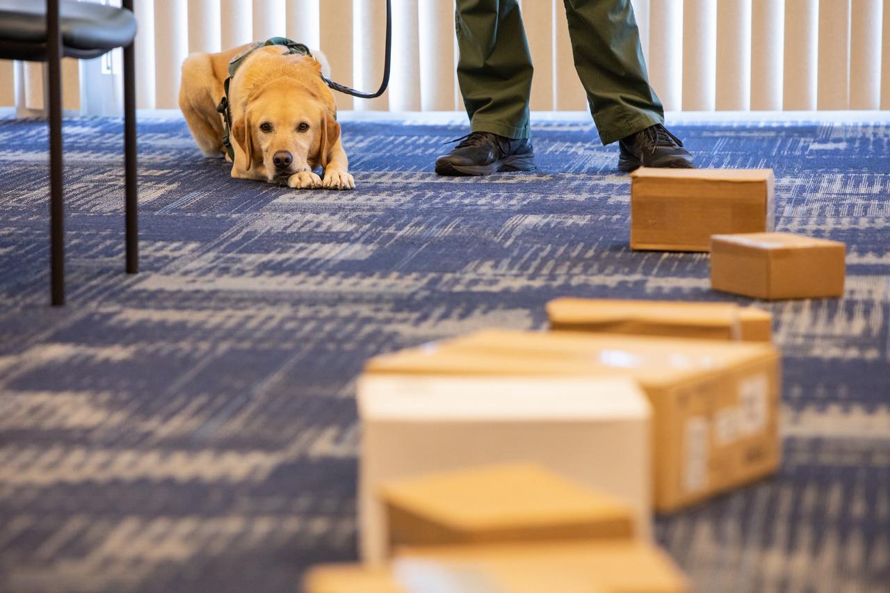 Fish and Wildlife Conservation Commission (FWC) K9 Harry rests during FWC Officer Jeff Sidor’s presentation on the commission’s Port K9 Program to Kennedy Space Center employees on April 23, 2019. Following the presentation in the Florida spaceport’s Space Station Processing Facility Conference Center, Officer Sidor demonstrated how FWC is using specially trained dogs such as Harry in airports, seaports and mail facilities to detect illegal and invasive fish and wildlife species shipping into Florida. The demonstration involved Harry distinguishing which box, among many, contained a turtle shell. This lunch and learn was available for employees to attend as part of Kennedy’s Earth Day events. 
