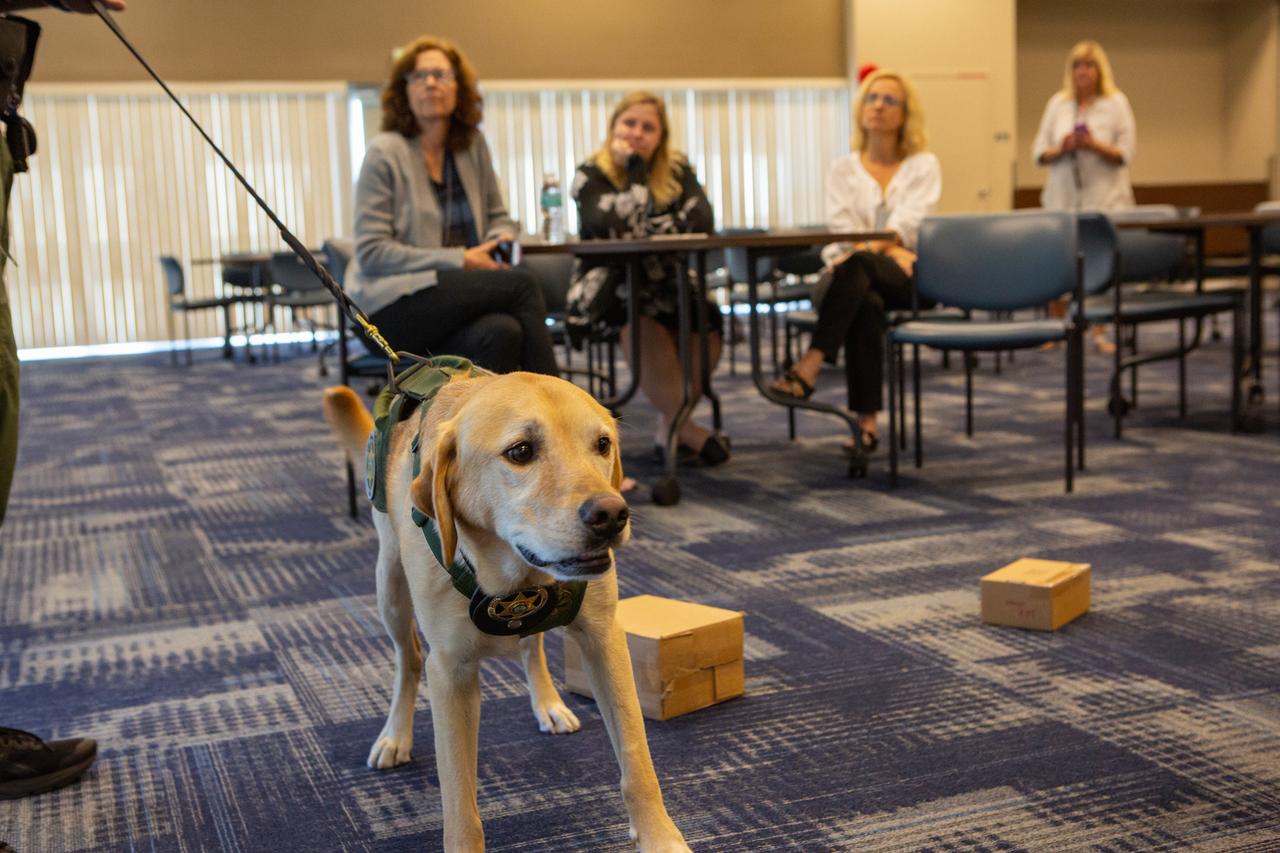 Fish and Wildlife Conservation Commission’s (FWC) Port K9, Harry, stands in Kennedy Space Center’s Space Station Processing Facility Conference Center. FWC Officer Jeff Sidor presented information on the commission’s Port K9 Program to Kennedy employees on April 23, 2019, and brought Harry along for a demonstration. Following the presentation, Officer Sidor demonstrated how FWC is using specially trained dogs such as Harry in airports, seaports and mail facilities to detect illegal and invasive fish and wildlife species shipping into Florida. The demonstration involved Harry distinguishing which box, among many, contained a turtle shell. This lunch and learn was available for employees to attend as part of Kennedy’s Earth Day events.