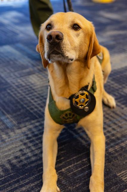 NASA image: Earth Day Lunch and Learns Events