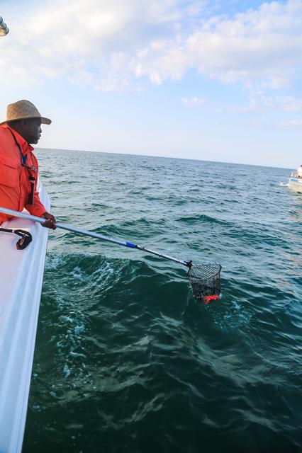 NASA image: NASA AA-2 team recovering EDRs in the open water