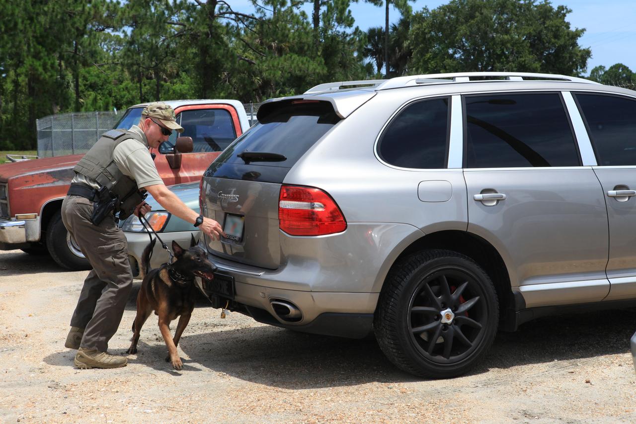 K-9 Handler Officer John McGee watches as K-9 Spike works his way through a row of cars during a training exercise on July 10, 2019, at Kennedy Space Center’s Protective Services Office in Florida. The center’s specially trained K-9s support the center 24/7, 365 days. Their main goal is to protect the Kennedy workforce and assets. Normal activities include sweeps of designated facilities, parking lots and random vehicle inspections at entrance gates. During rocket launches, they are out and about performing sweeps of facilities and launch site viewing areas. They cover Kennedy and the Merritt Island National Wildlife Refuge.