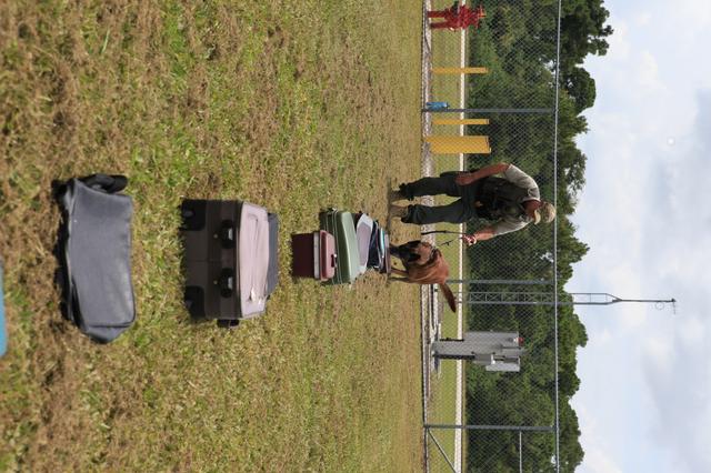 NASA image: KSC Protectice Services - Working Dogs