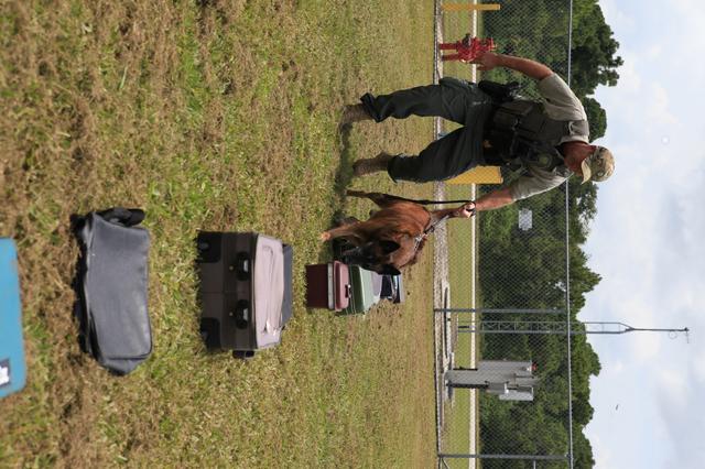 NASA image: KSC Protectice Services - Working Dogs