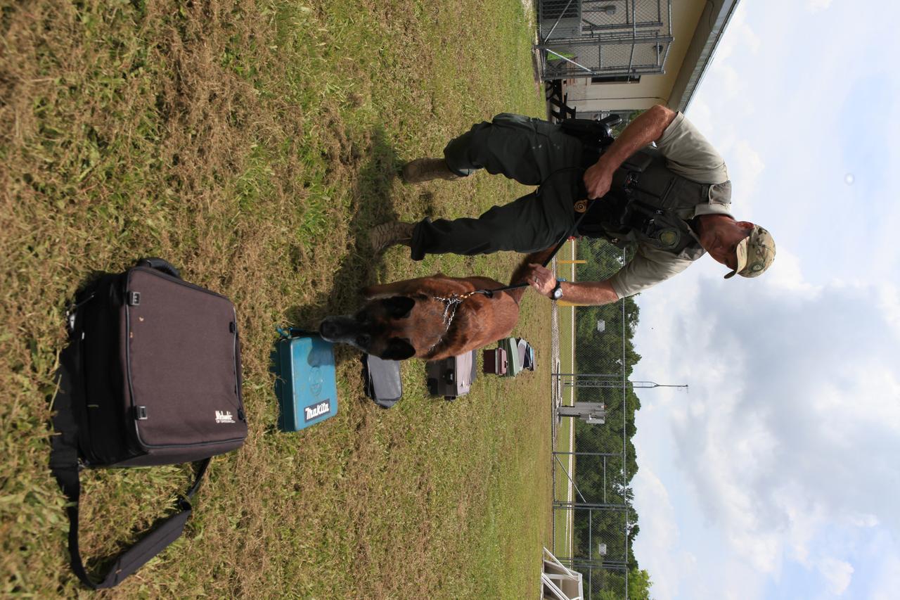 K-9 Handler Officer Scott O’Rourke watches as K-9 LJ works his way through a row of bags and containers to locate one with a suspicious substance during a training exercise on July 10, 2019, at Kennedy Space Center’s Protective Services Office in Florida. The center’s specially trained K-9s support the center 24/7, 365 days. Their main goal is to protect the Kennedy workforce and assets. Normal activities include sweeps of designated facilities, parking lots and random vehicle inspections at entrance gates. During rocket launches, they are out and about performing sweeps of facilities and launch site viewing areas. They cover Kennedy and the Merritt Island National Wildlife Refuge.