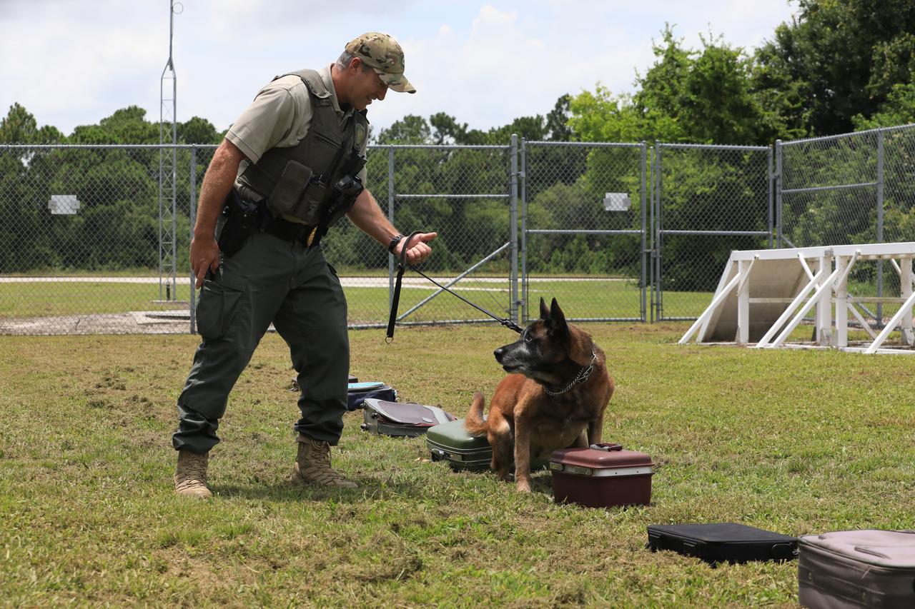 K-9 Handler Officer Scott O’Rourke watches as K-9 LJ stops at the container with a suspicious substance during a training exercise on July 10, 2019, at Kennedy Space Center’s Protective Services Office in Florida. The center’s specially trained K-9s support the center 24/7, 365 days. Their main goal is to protect the Kennedy workforce and assets. Normal activities include sweeps of designated facilities, parking lots and random vehicle inspections at entrance gates. During rocket launches, they are out and about performing sweeps of facilities and launch site viewing areas. They cover Kennedy and the Merritt Island National Wildlife Refuge.