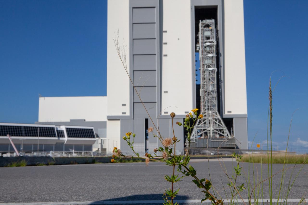 The mobile launcher for NASA’s Artemis missions rolls out of the Vehicle Assembly Building (VAB) at Kennedy Space Center in Florida on Sept. 10, 2019, after spending a week and a half inside due to the approach of Hurricane Dorian. The nearly 400-foot-tall structure was moved from Launch Pad 39B to the VAB for safekeeping on Aug. 30. The storm passed about 70 miles east of the spaceport during the overnight hours Tuesday, Sept. 3, and Wednesday, Sept. 4. NASA’s Exploration Ground Systems is moving the mobile launcher back to the launch pad, where teams will complete testing and checkout on the launcher in the coming weeks for the Artemis I mission.