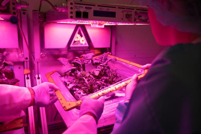 NASA image: Science Verification Test Harvest