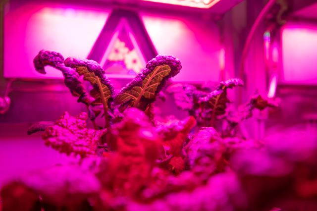 NASA image: Science Verification Test Harvest