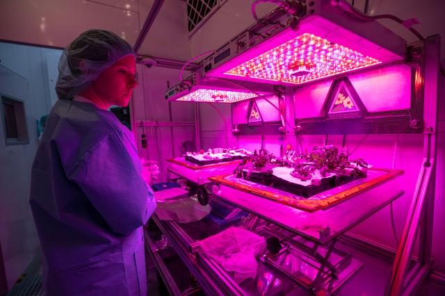 NASA image: Science Verification Test Harvest