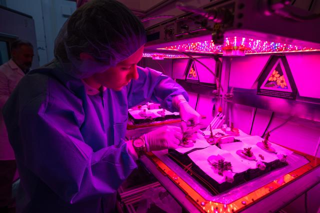 NASA image: Science Verification Test Harvest