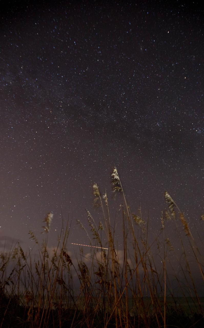 Sea oats are backdropped by the night sky and the Milky Way in this view from the Atlantic shoreline at NASA’s Kennedy Space Center in Florida on Oct. 31, 2019. The lights of an aircraft create an illuminated streak above the horizon.