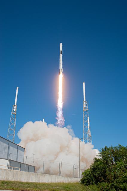 NASA image: SpaceX CRS-19 Liftoff