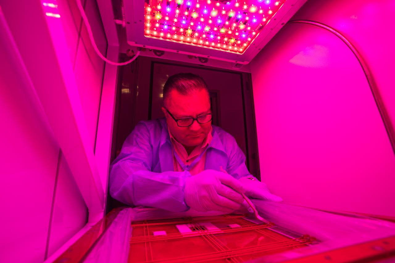 Matthew English is the Exploration Research and Technology facility manager for the Space Station Processing Facility (SSPF) at NASA’s Kennedy Space Center in Florida. English’s responsibilities include ensuring that the International Space Station teams inside the SSPF have the facilities, tools and capabilities they need to support their launch customers, thus providing the support necessary to enable further research and design discoveries within NASA.