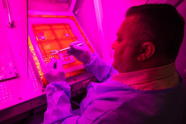 NASA's Kennedy Space Center Innovators' Launchpad: Matt English