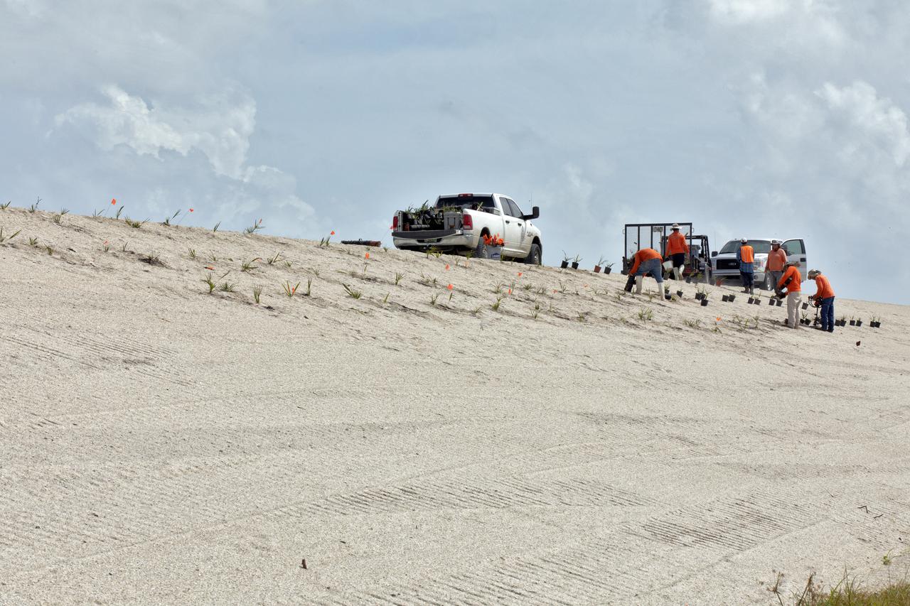 Native vegetation is being planted in a portion of the restored dunes at the north beaches at NASA’s Kennedy Space Center in Florida on Oct. 8, 2018. About 450,000 cubic yards of beach-quality sand, tested for compatibility, is being transported to the space center’s beaches. Once the dune is built up, native vegetation will be replanted, helping to stabilize the dune and offer a habitat for Kennedy’s coast wildlife. Dunes are affected by beach erosion and storm surge from tropical events, such as hurricanes. Restoration began in spring 2018 and is targeted to be completed by April 2019.