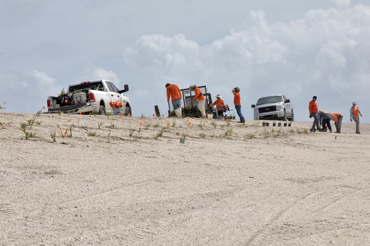 Native vegetation is being planted in a portion of the restored dunes at the north beaches at NASA’s Kennedy Space Center in Florida on Oct. 8, 2018. About 450,000 cubic yards of beach-quality sand, tested for compatibility, is being transported to the space center’s beaches. One the dune is built up, native coastal vegetation will be replanted, helping to stabilize the dune and offer a habitat for Kennedy’s coast wildlife. Dunes are affected by beach erosion and storm surge from tropical events, such as hurricanes. Restoration began in spring 2018 and is targeted to be completed by April 2019.