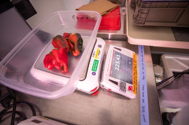 NASA image: Hatch Chile Pepper Assessment and Harvest