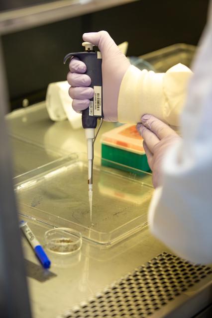 NASA image: Veg-03 J/K/L Prelaunch Prepartions for NG-13