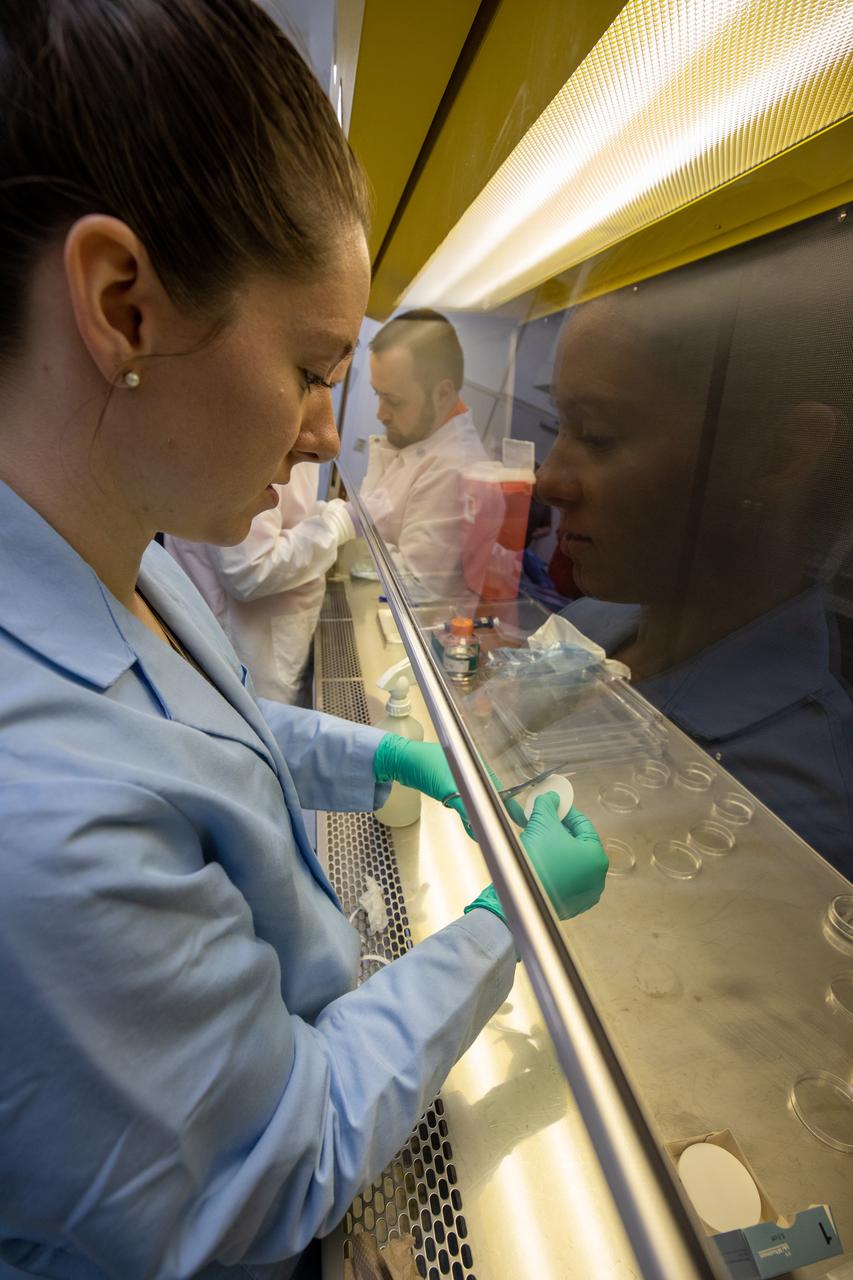 Jess Bunchek, a pseudonaut and associate scientist at NASA’s Kennedy Space Center in Florida, prepares the materials needed for a germination test of plant seeds inside the Space Station Processing Facility on Jan. 15, 2020. The test will verify that the seeds can successfully grow here on Earth before they are sent to the International Space Station for testing in a microgravity environment as part of the VEG-03 series of experiments. The experiments will launch aboard a Northrop Grumman Antares rocket and Cygnus spacecraft on the company’s 13th resupply services mission to the space station. Liftoff is scheduled for Feb. 9, 2020, at 5:39 p.m. EST from the agency’s Wallops Flight Facility in Virginia.